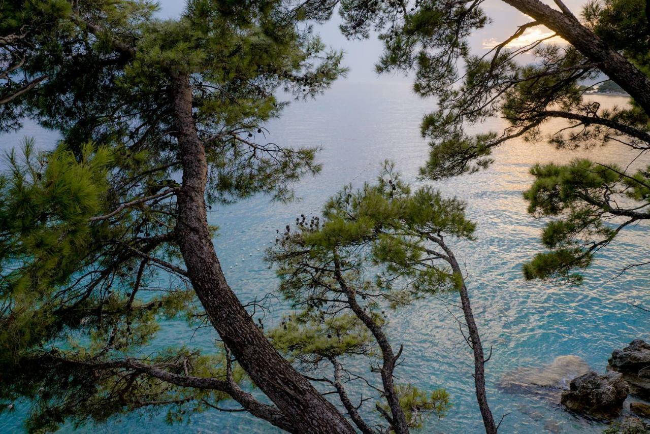 Villa Astra Brela Dış mekan fotoğraf